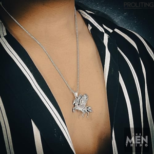 PEGASUS--Alloy-Pendant-with-Pure-Stainless-Steel-24inch-Round-Box-Chain-for-Men,-European-trending-Style